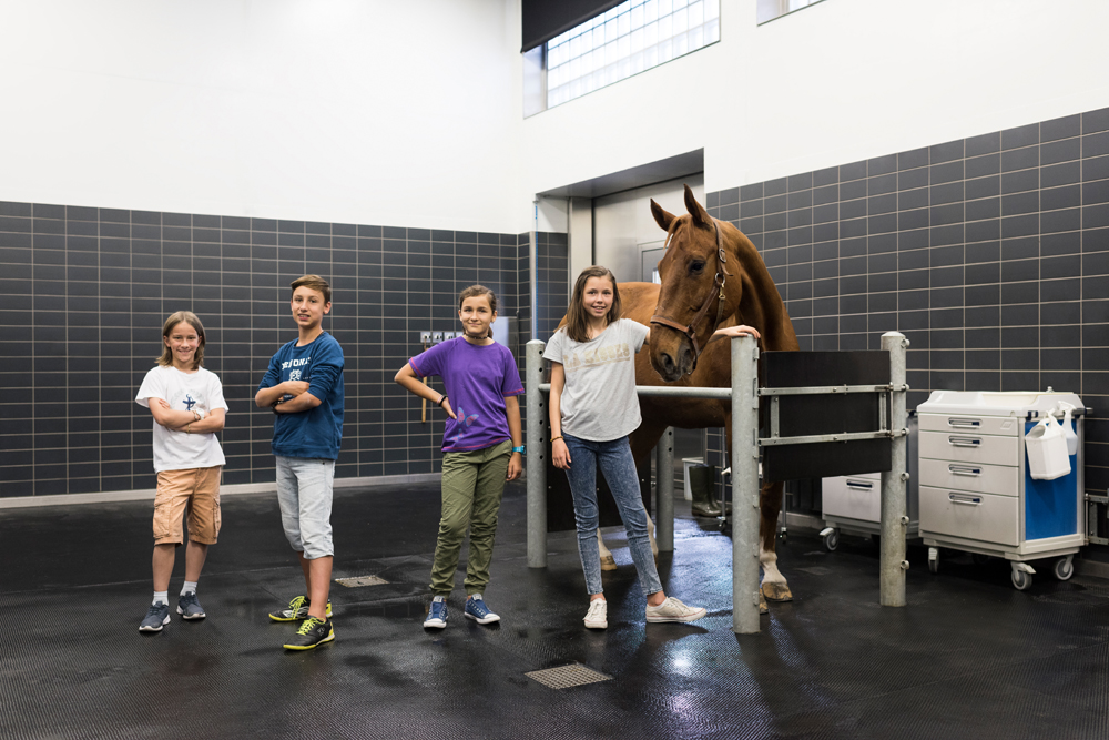 Vier Kinder stehen neben einem Pferd in einem Raum der Pferdeklinik in Bern.